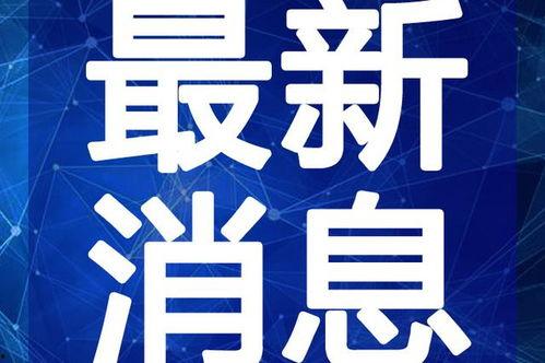西安爆料大雪视频最新版,最新版视频展现冬日美景与交通挑战”