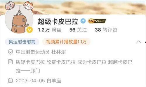 卡哥最新爆料视频下载,行业动态大揭秘！
