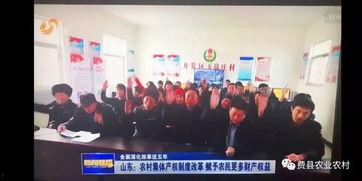 费县爆料新闻最新情况,突发事件引发关注，详情揭晓！