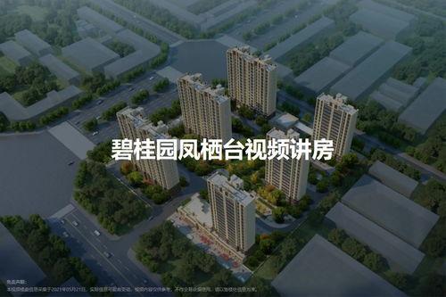 碧桂园凤栖台最新爆料